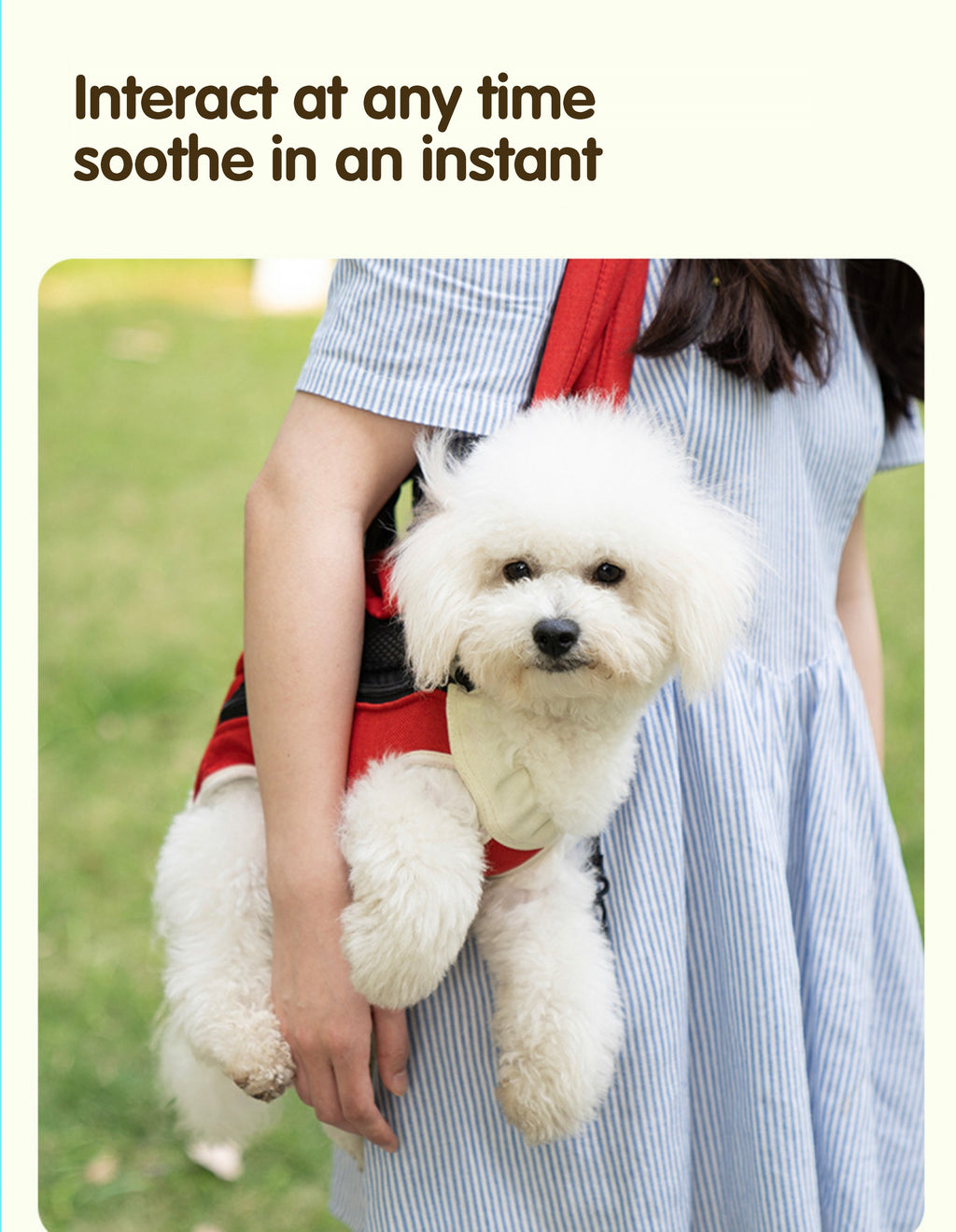 Pet chest bag