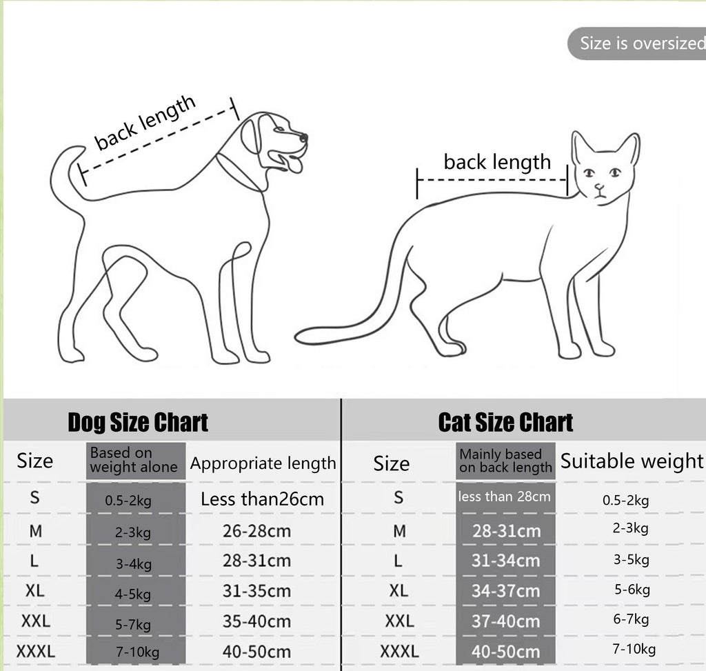 Pet chest bag