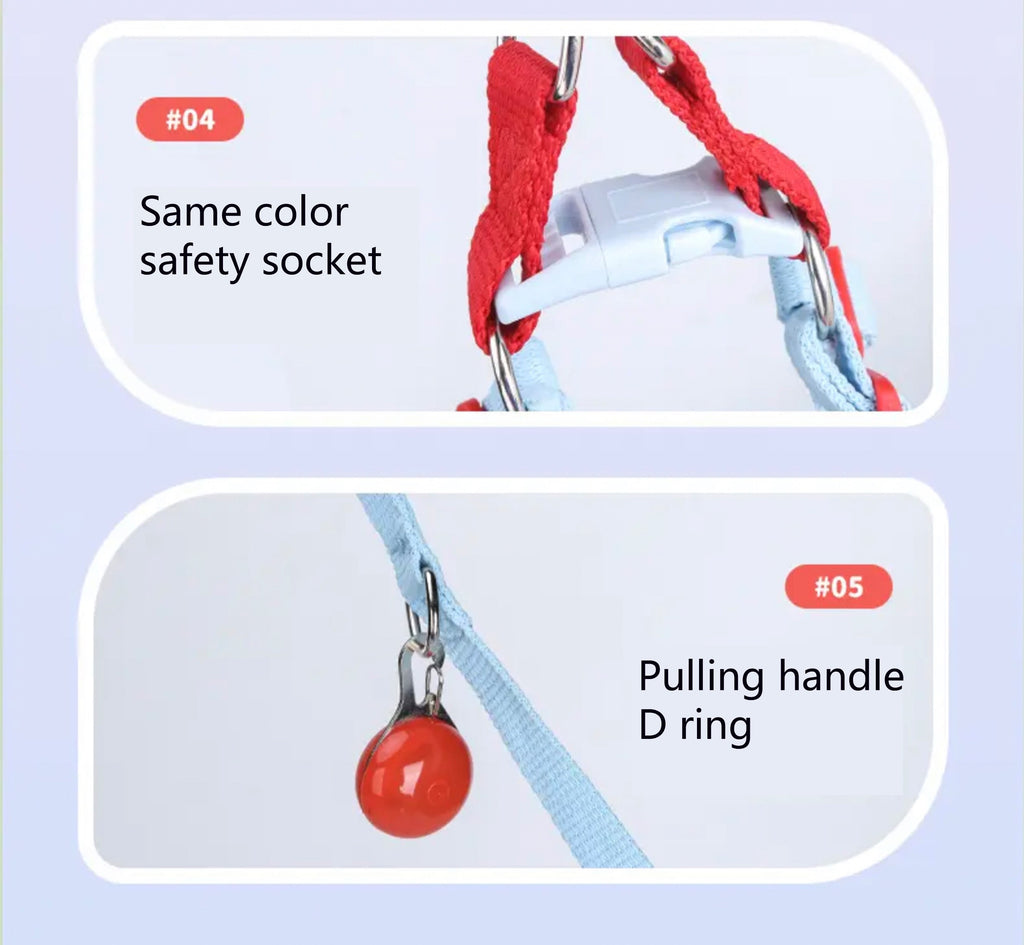 Pet collar & leash